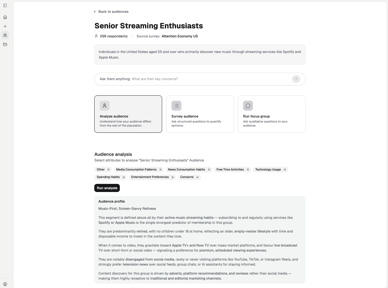 An audience page with a completed analysis and written audience profile